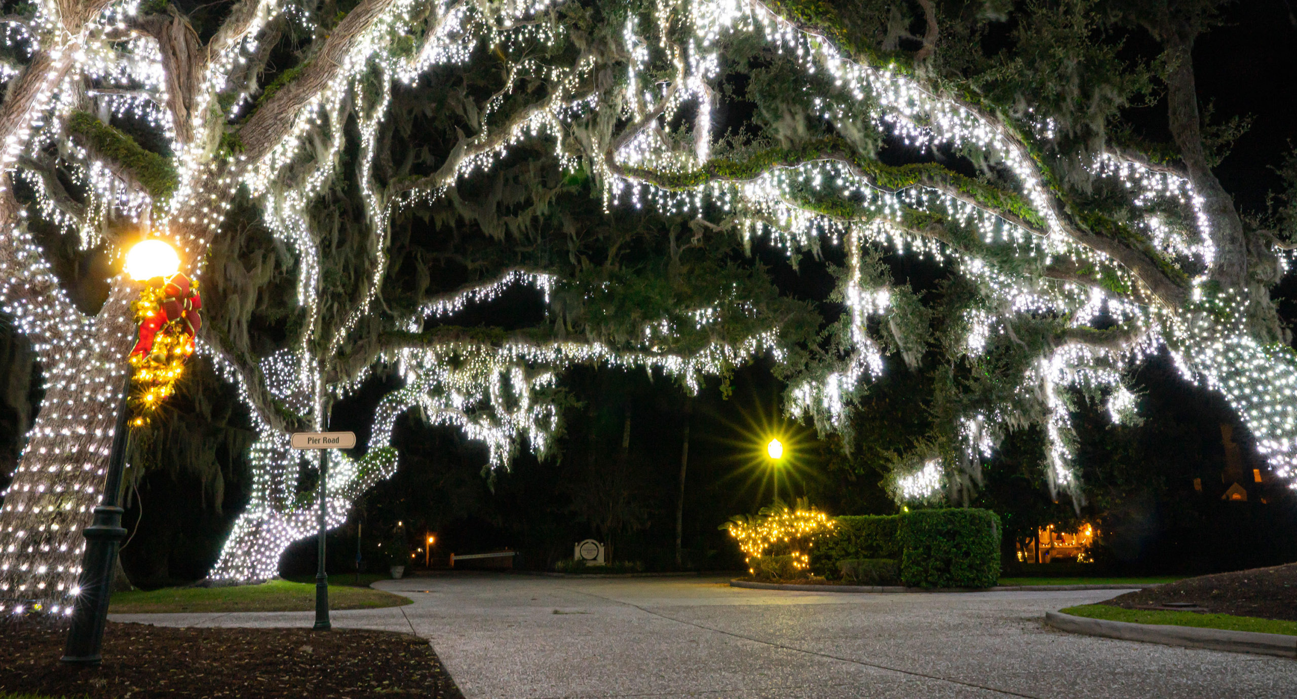 Christmas Lights in Eagle Christian Tours