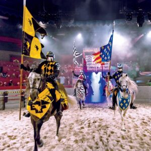 medieval times tournament