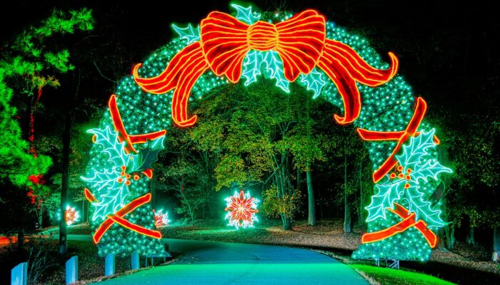 Christmas Lights In Atlanta