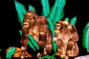 chattanooga zoo Asian lantern festival christmas lights gorillas 